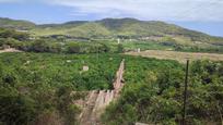 Finca rústica en venda en Tavernes de la Valldigna