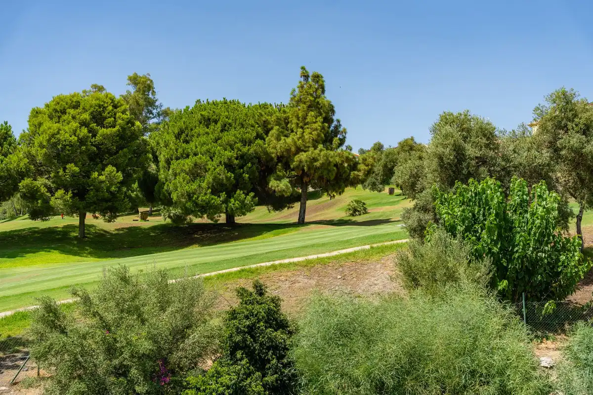 Ático con piscina en venta en Los Arqueros  - Puerto del Almendro, imagen 40