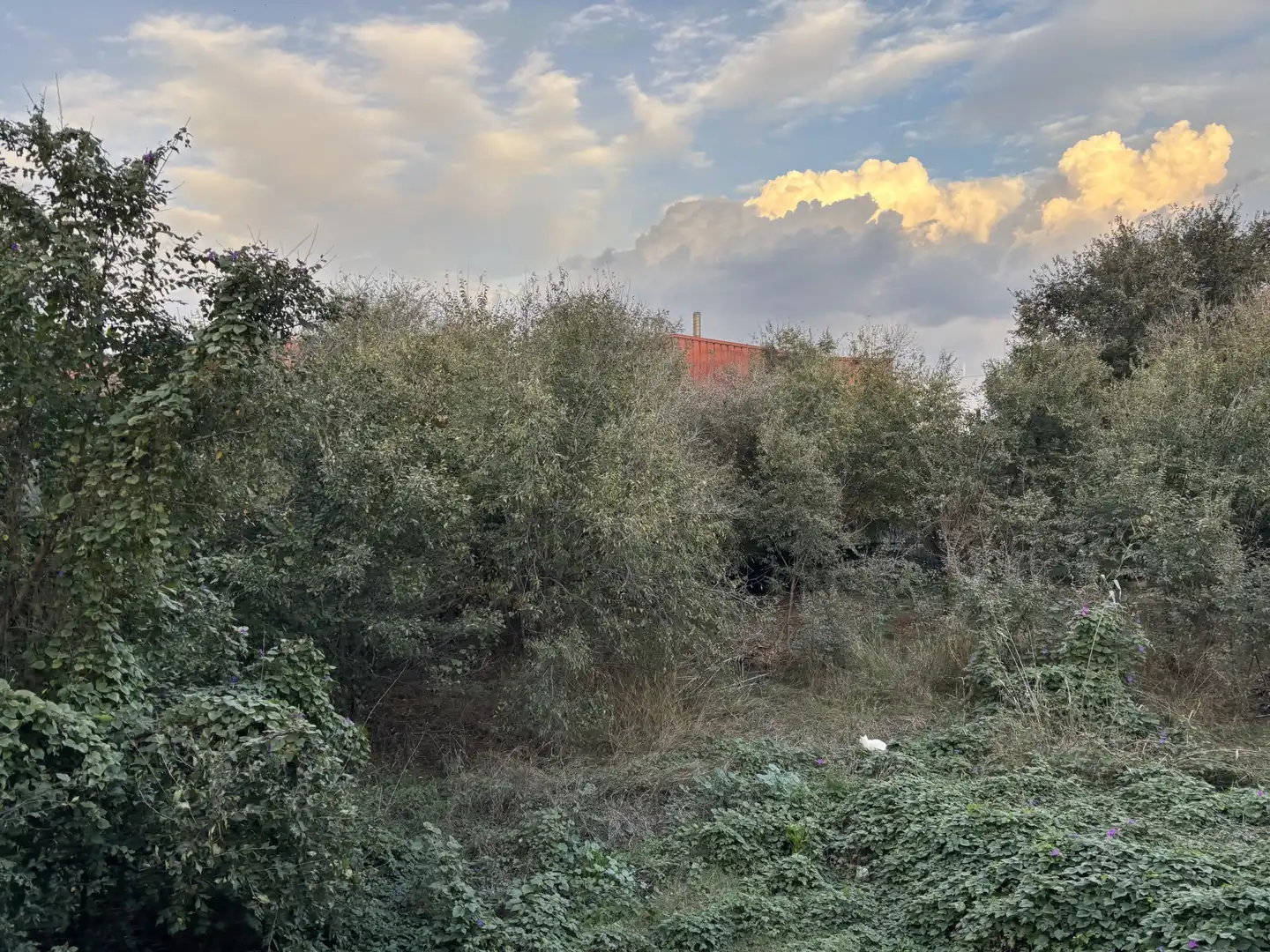 Residencial en venda en Sant Feliu de Llobregat