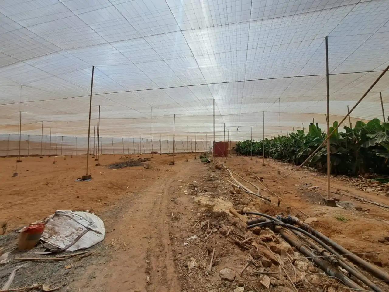 Rural land for sale in Cruce de Arinaga, imagen 23