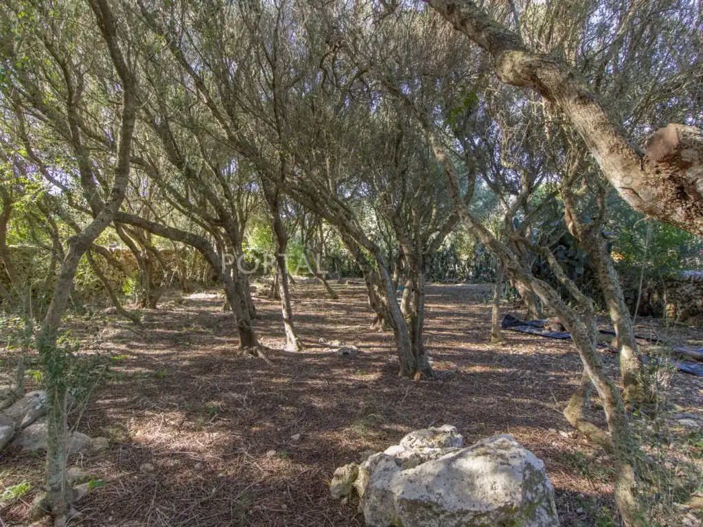 Country house for sale in Sant Lluís - S'Ullestrar - Torret, imagen 31