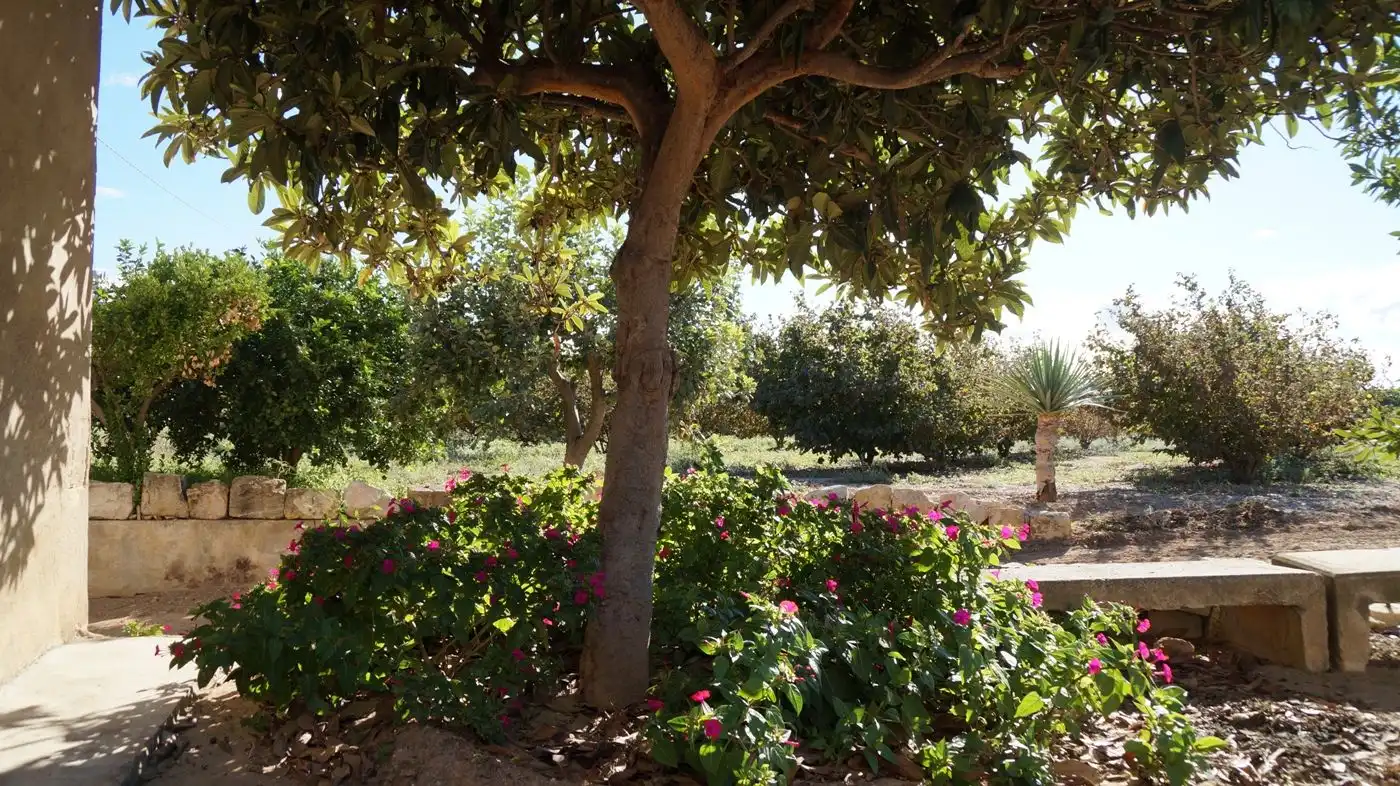 Jardí de Finca rústica en venda en Constantí amb Jardí privat, Terrassa i Moblat