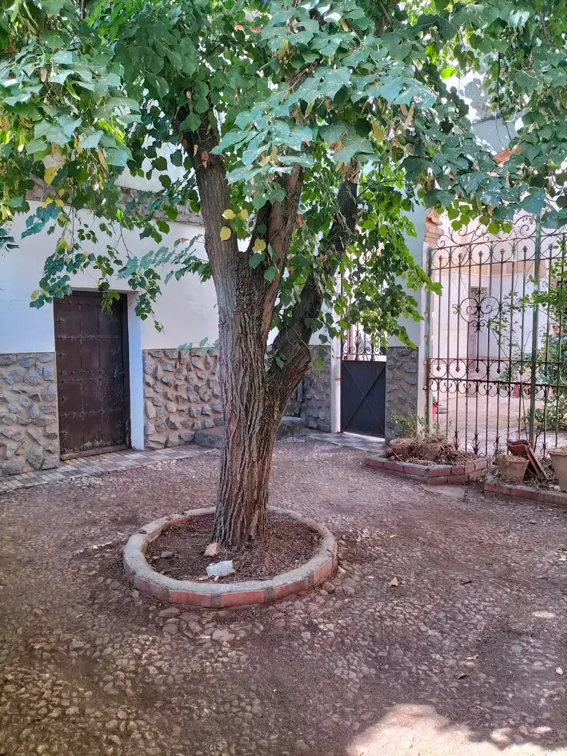 Garden of Country homes for sale in Los Yébenes