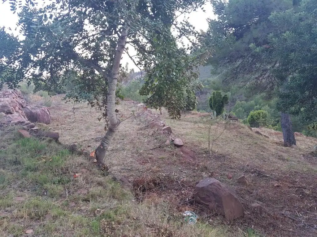 Terreno rústico en venta en CANTERERES, LES, imagen 9
