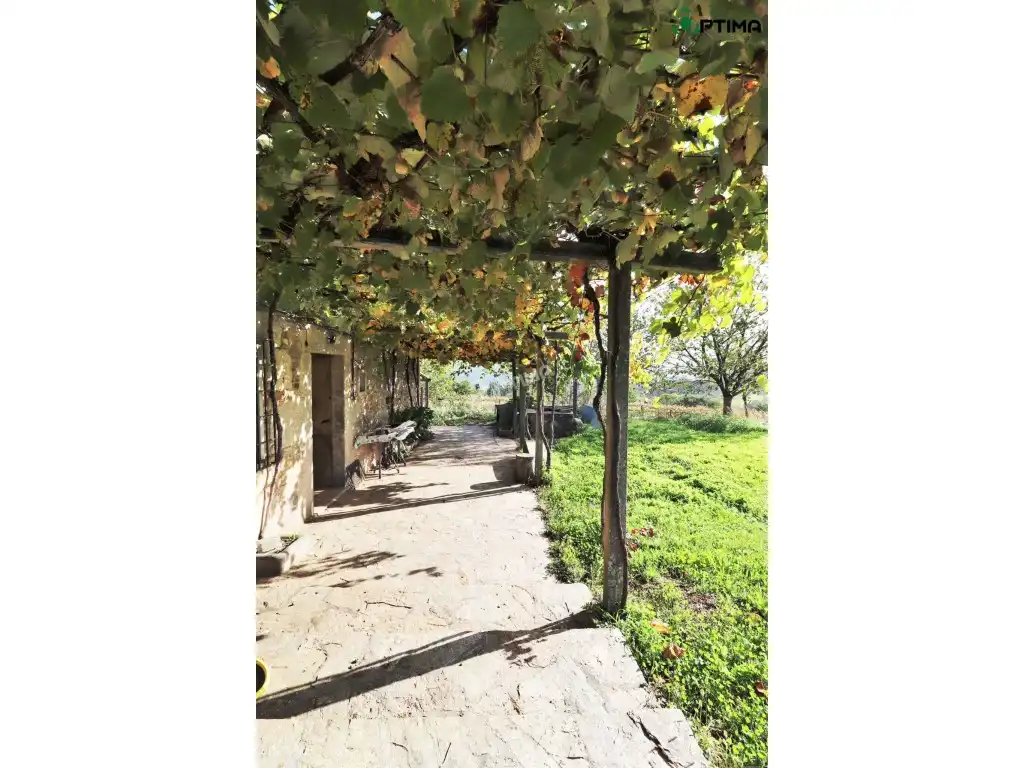 Maison à vendre à Poblado Curro-Cira, imagen 21