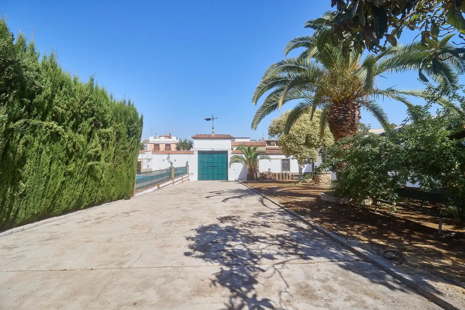 Vista exterior de Nave industrial en venta en Aguilar de la Frontera