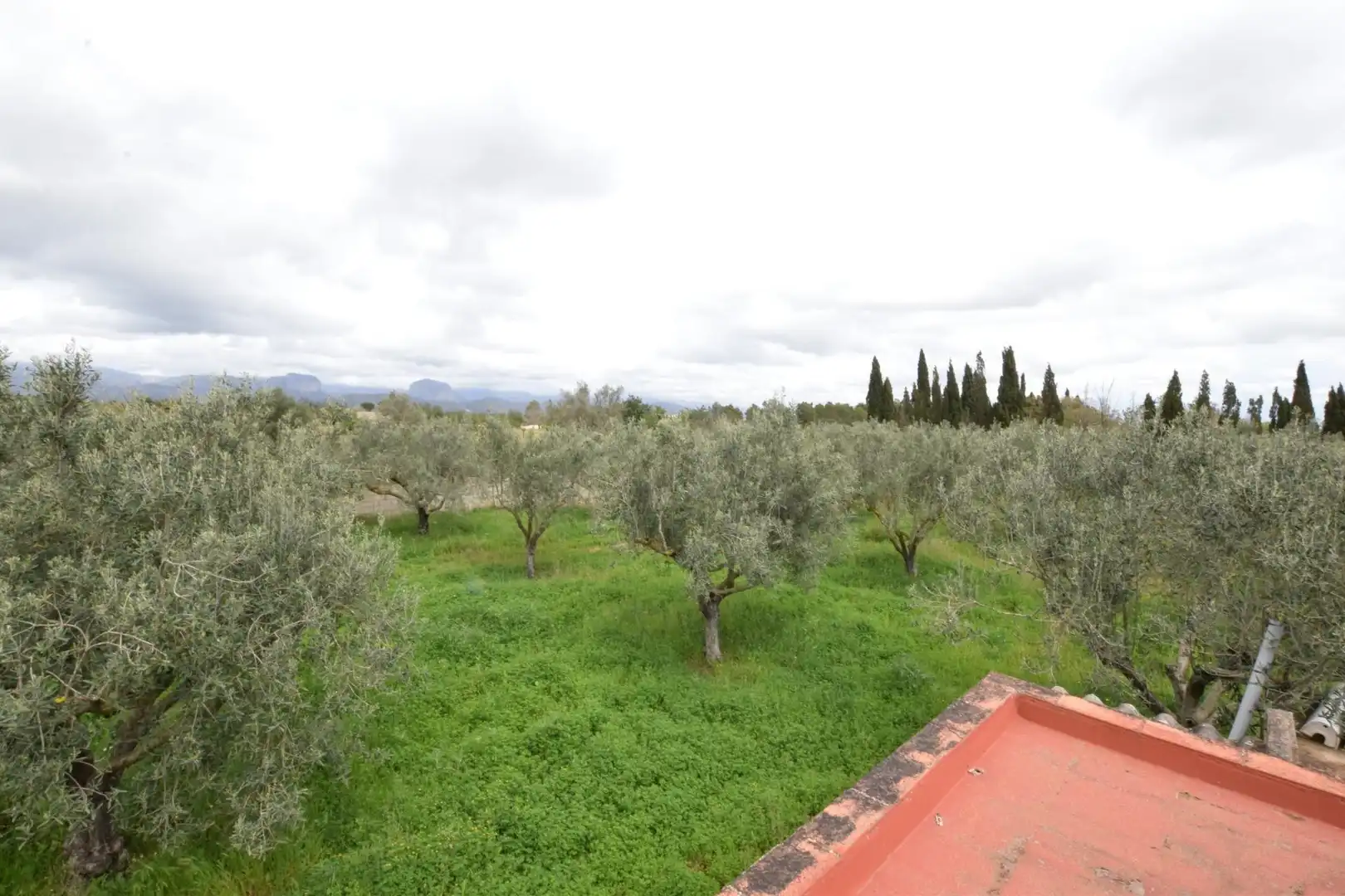 Jardín de Finca rústica en venta en Santa Eugènia con Jardín privado