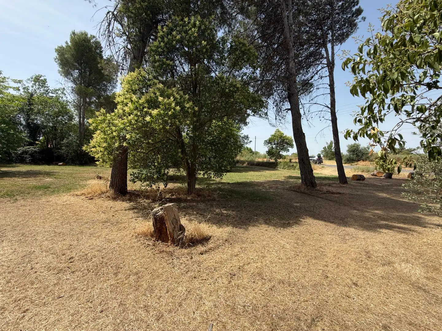 Residencial en venda a Camí de Lleida, 14, Els Alamús