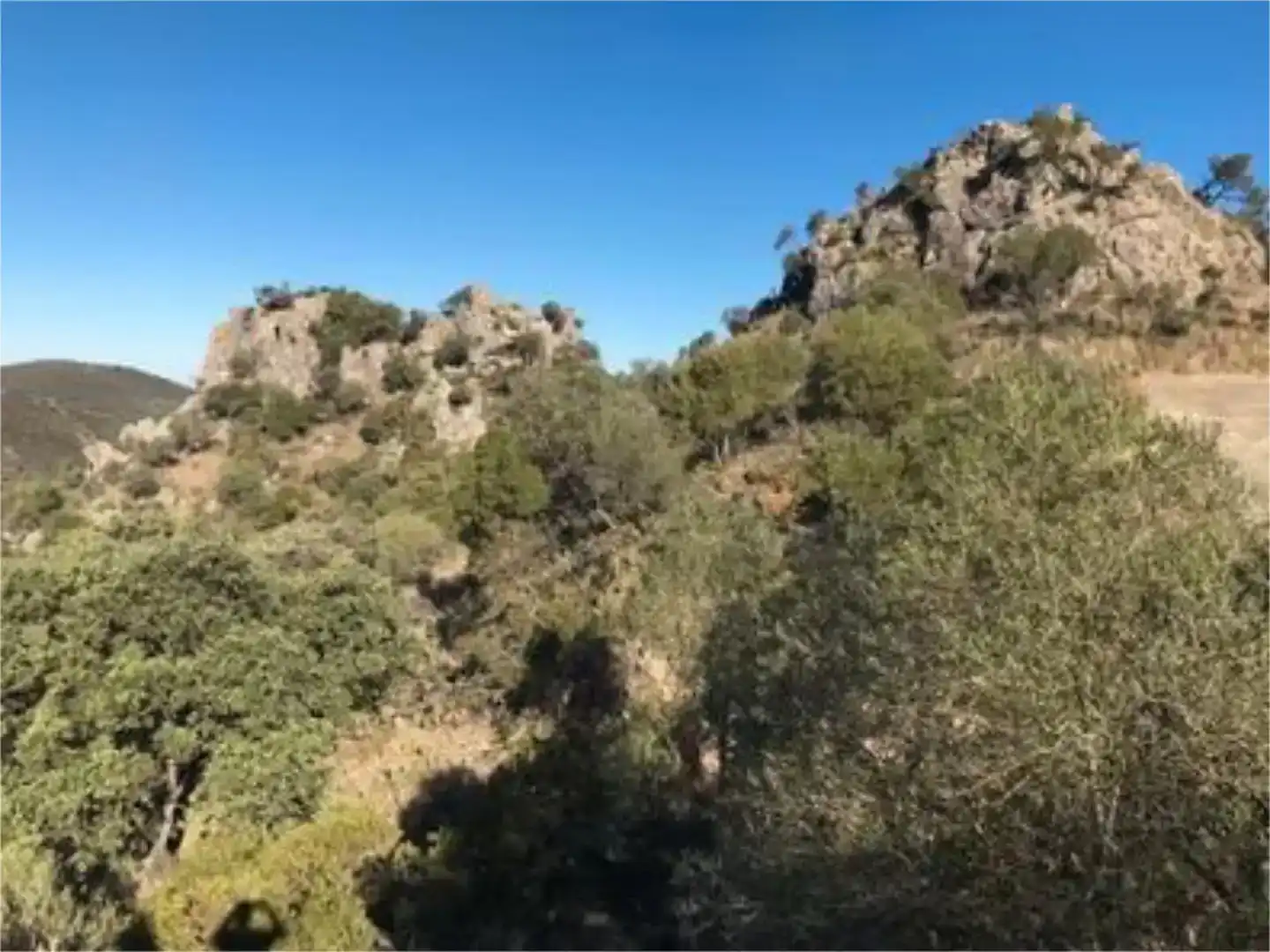 Finca rústica en venda en Algodonales
