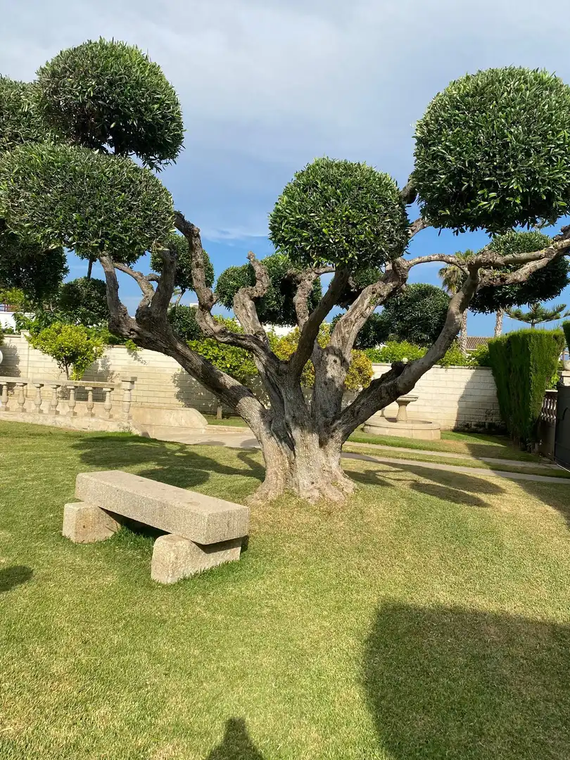 Villa avec piscine à vendre à JOAN PI I MARGALL, imagen 27