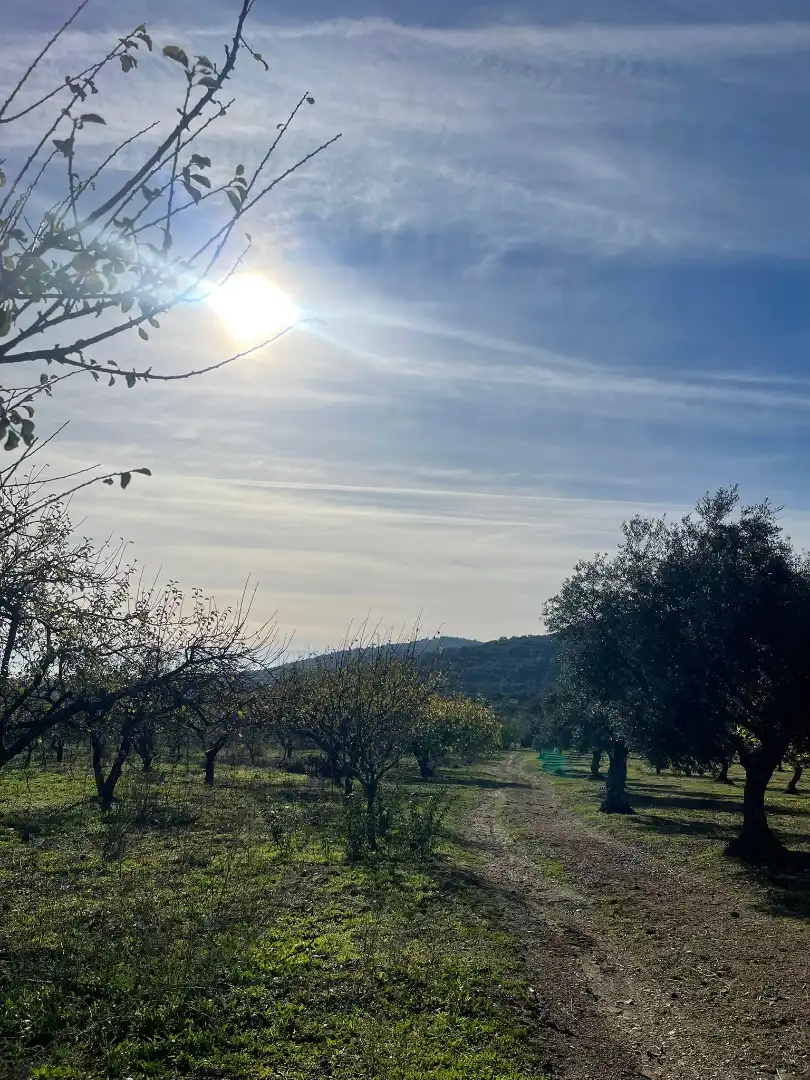 Casa o chalet en venta en Plasencia con Jardín privado y Amueblado