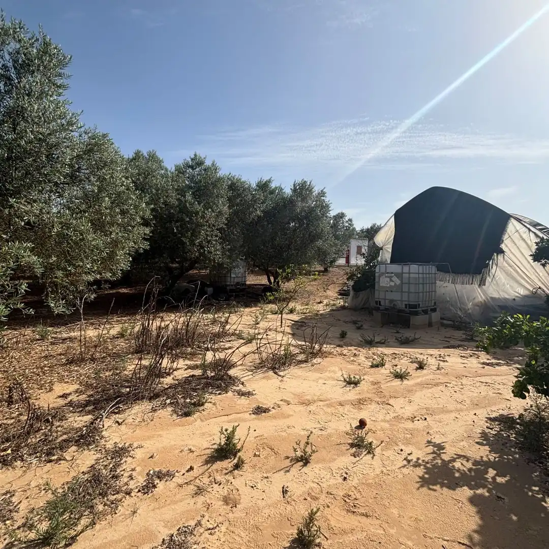 Finca rústica en venda en Almonte