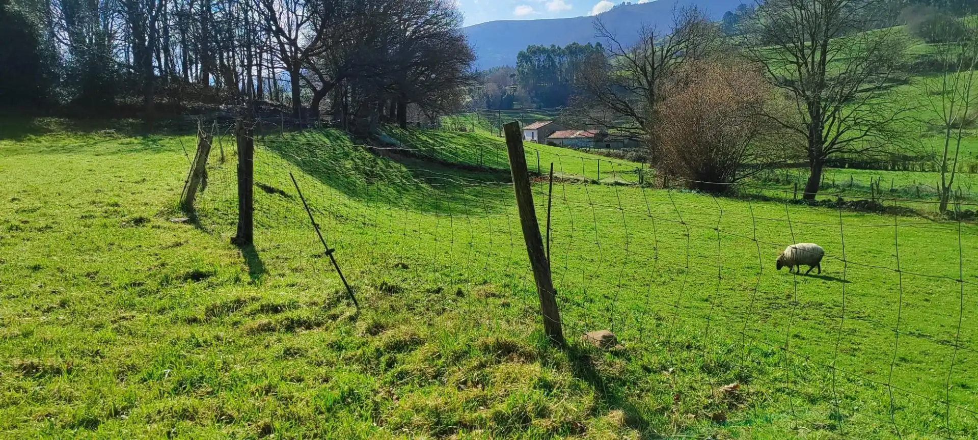 Terreni e lotti in vendita a Corvera de Toranzo, imagen 10