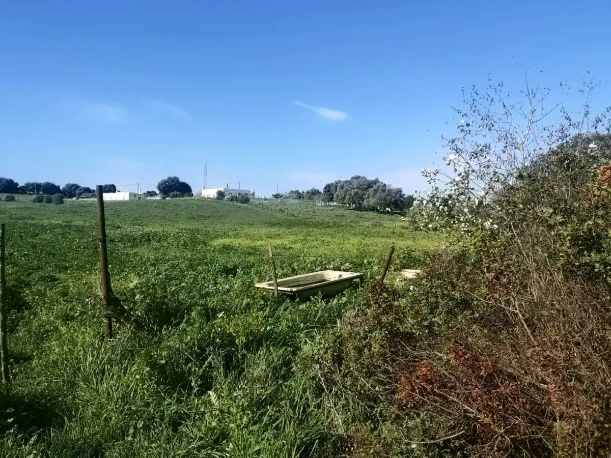 Rural land for sale in La Muela, imagen 3