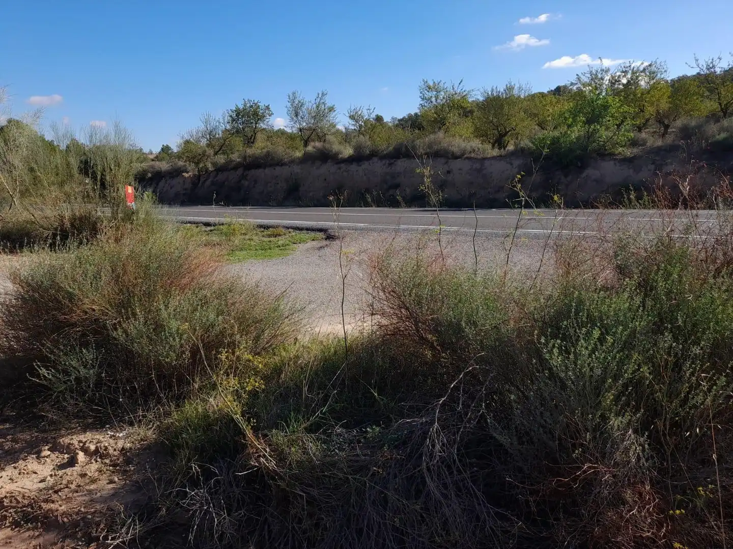 Vista exterior de Casa o xalet en venda en Flix amb Jardí privat, Terrassa i Traster