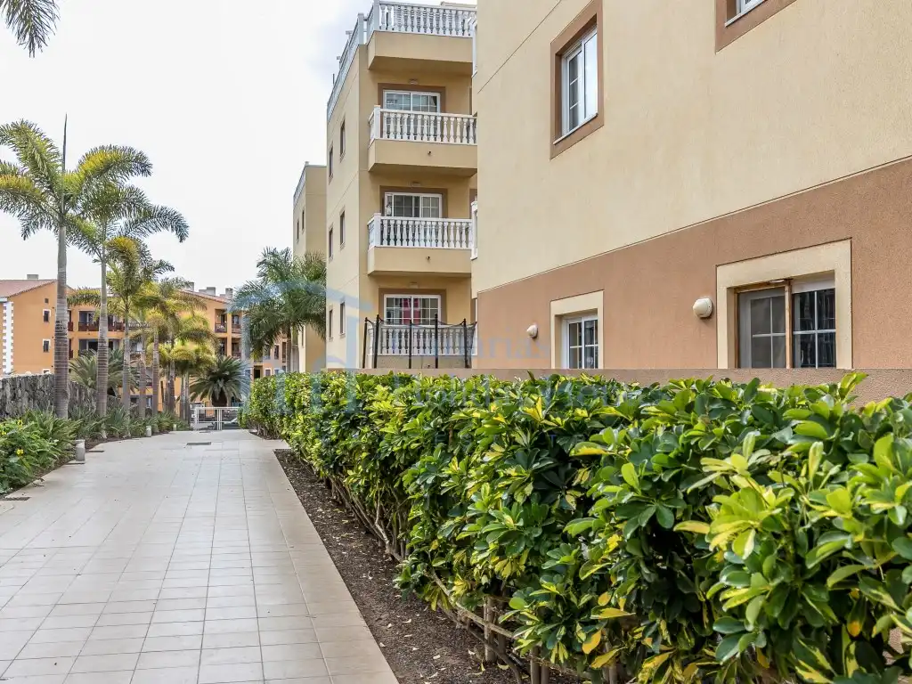 Ático con piscina en venta en Calle Jilguero, imagen 18