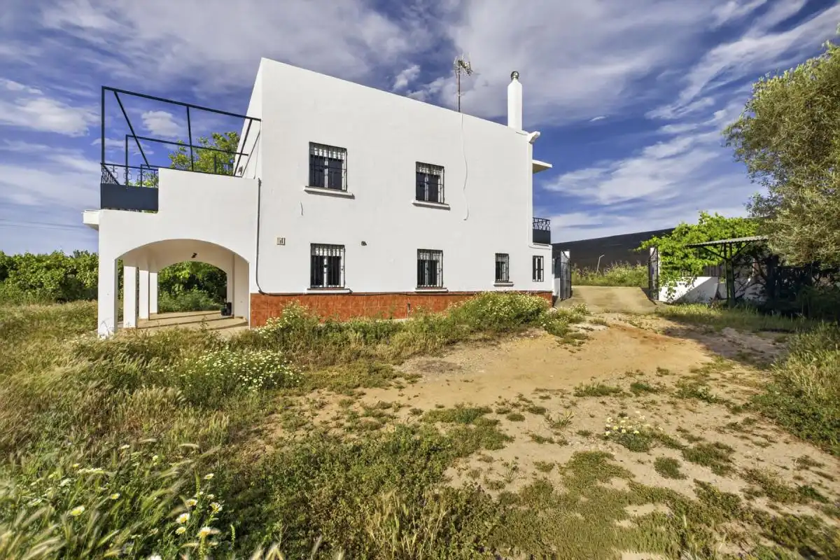 Vista exterior de Finca rústica en venta en La Rinconada con Calefacción, Jardín privado y Terraza