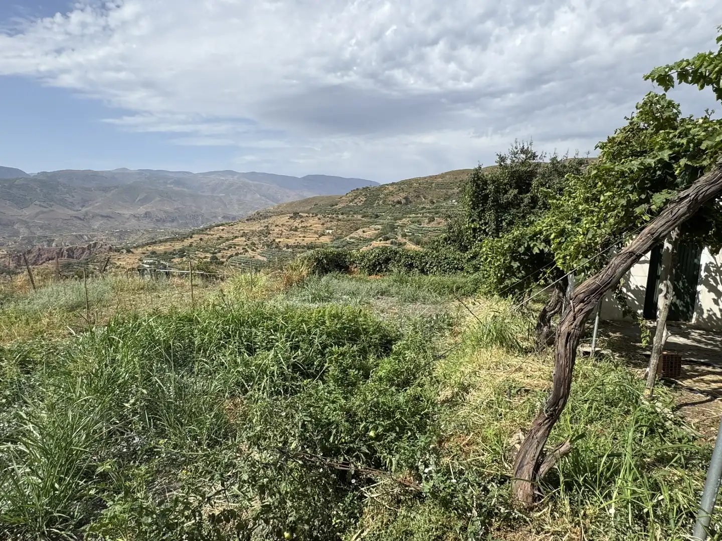 Terreny en venda en Ohanes