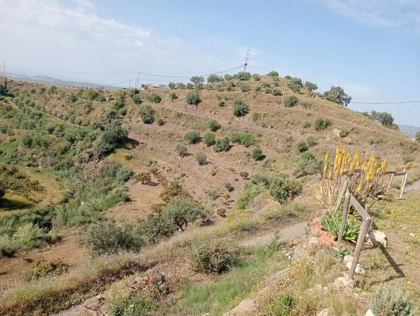 Casa rústica en venda a Vélez-Málaga ciudad, imagen 10