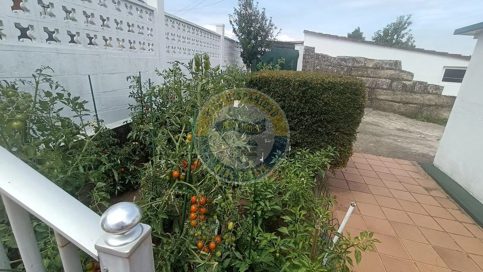 Jardín de Casa o chalet en venta en Vigo 