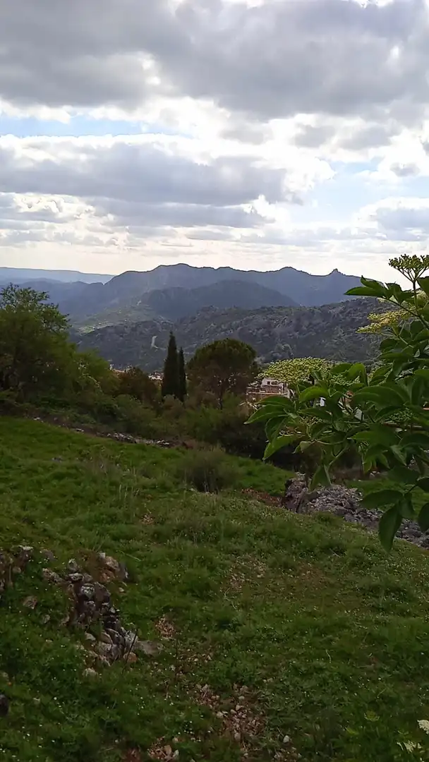 Terrain rustique à vendre à Benaocaz, imagen 14