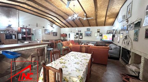 Foto 3 de Finca rústica en venta en Lebrija, Sevilla