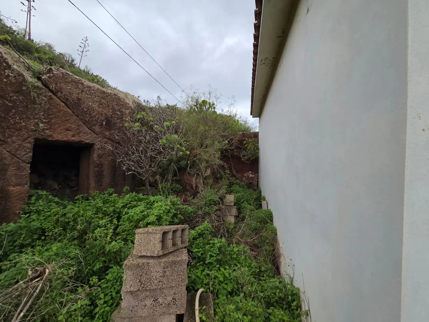 Finca rústica en venta en Tegueste