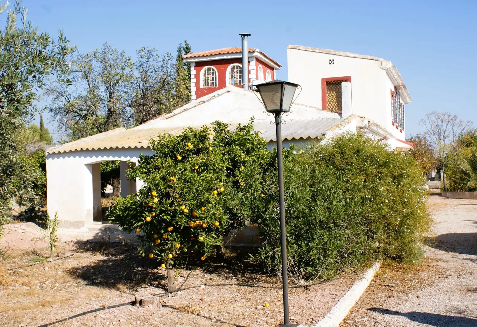 Vista exterior de Casa o chalet en venta en Totana con Jardín privado, Terraza y Trastero
