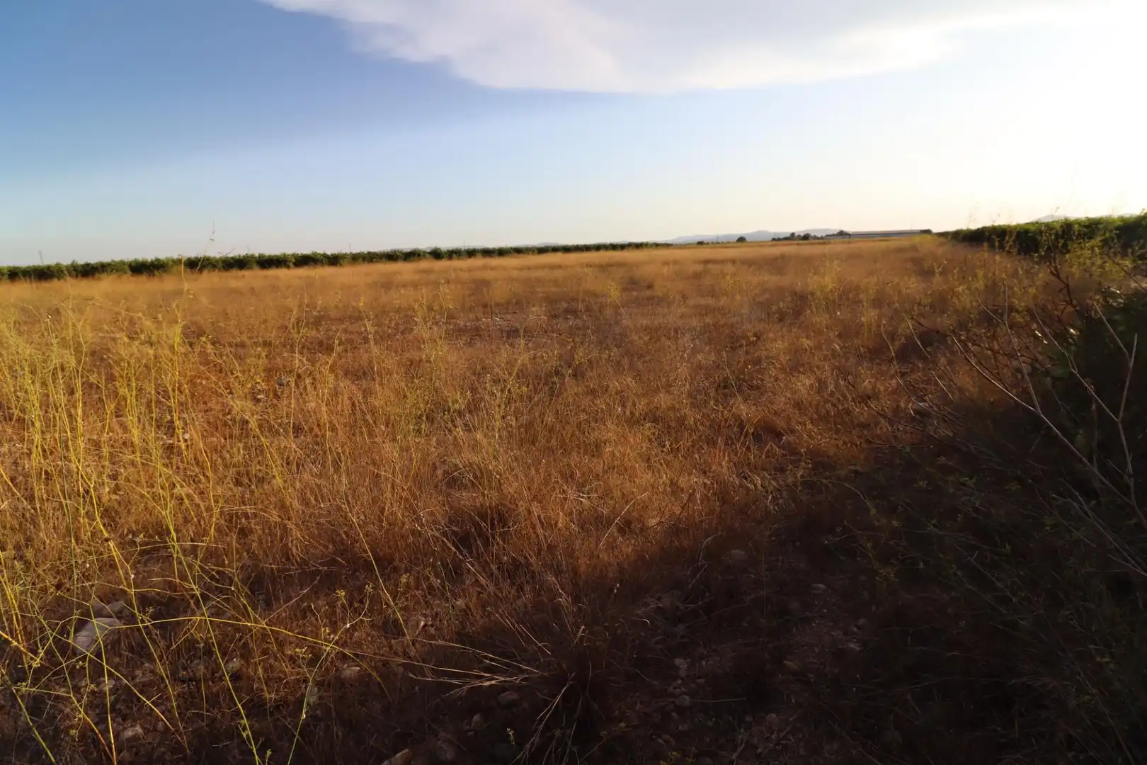 Rural land for sale in Traiguera