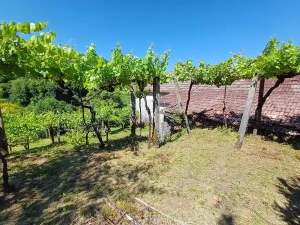 Casa amb jardí en venda a Lugar Parada-Franqueira, imagen 13