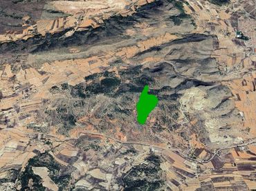 Terreny rústic en venda a Paraje Algayat