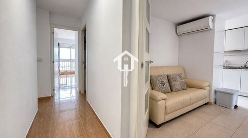 Foto 5 de Piso en venta en Glorieta Poeta Vicente Mojica, Santo Domigo, Alicante / Alacant