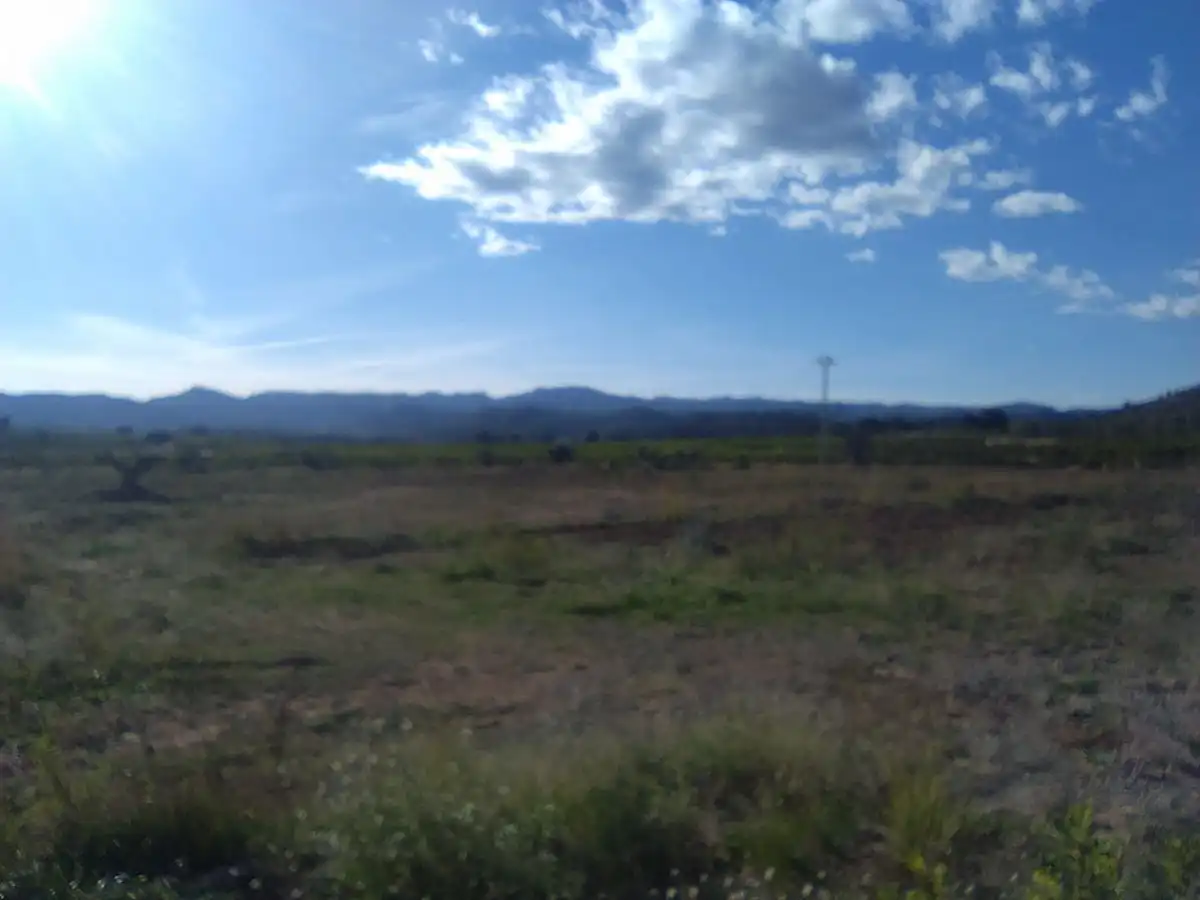 Terreno rústico en venta en Alfara de la Baronia, imagen 10