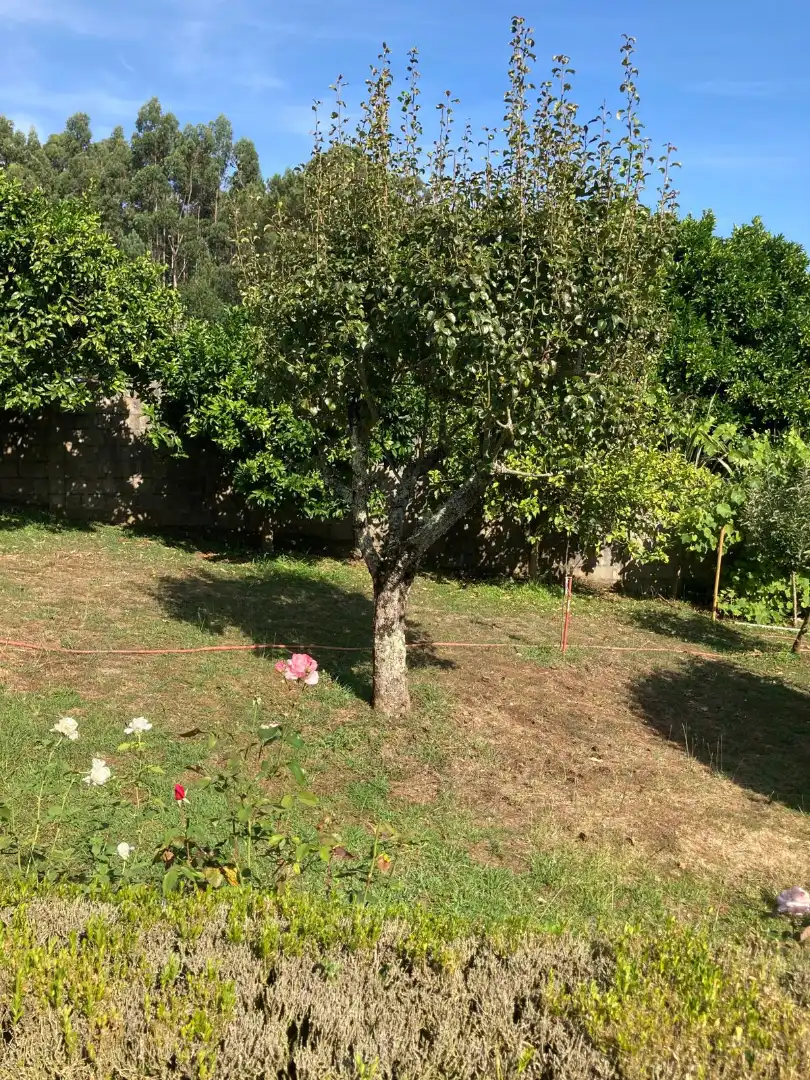 Jardí de Casa o xalet en venda en Dorneda