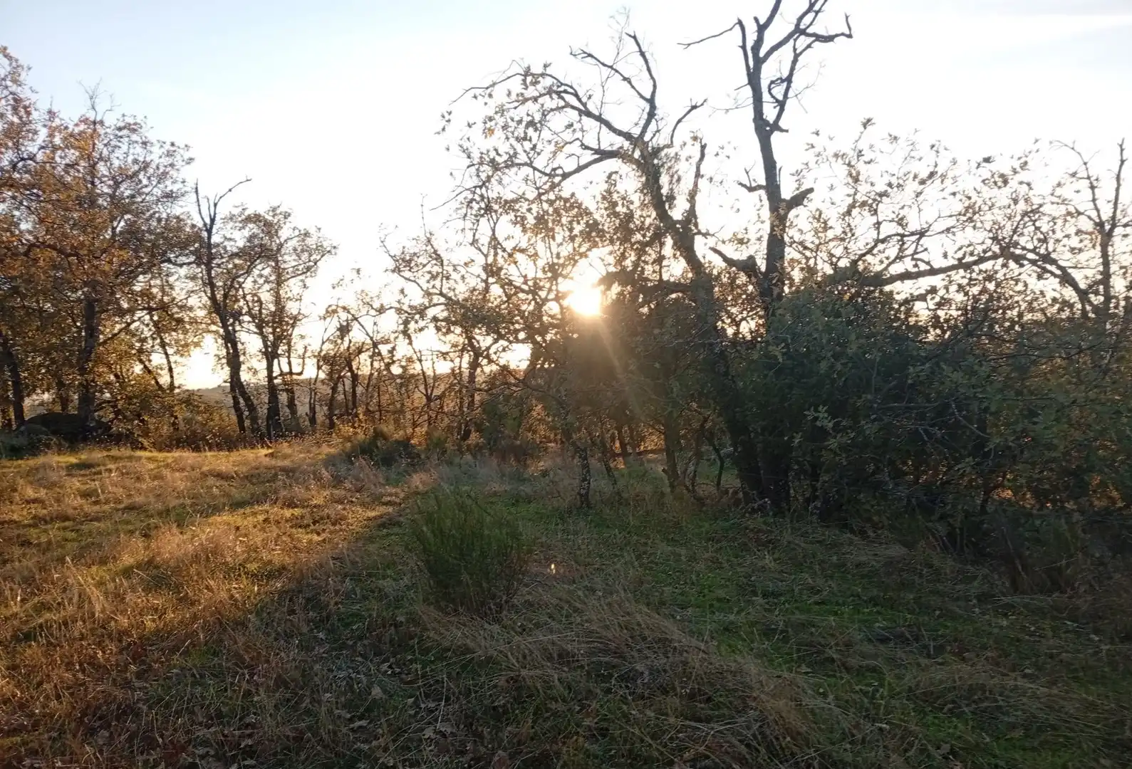 Terreni e lotti in vendita a Viandar de la Vera, imagen 21