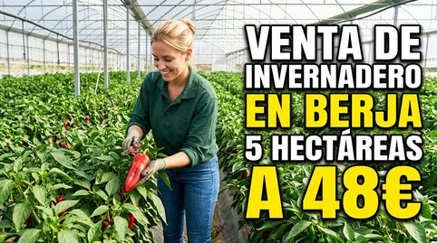 VENTA DE INVERNADERO DE 5 HECTAREAS EN BERJA .