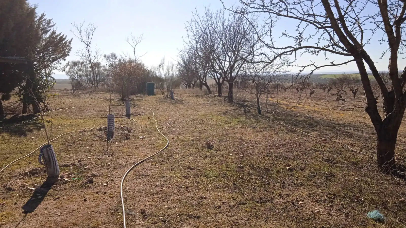 Terreno en venta en Illán de Vacas