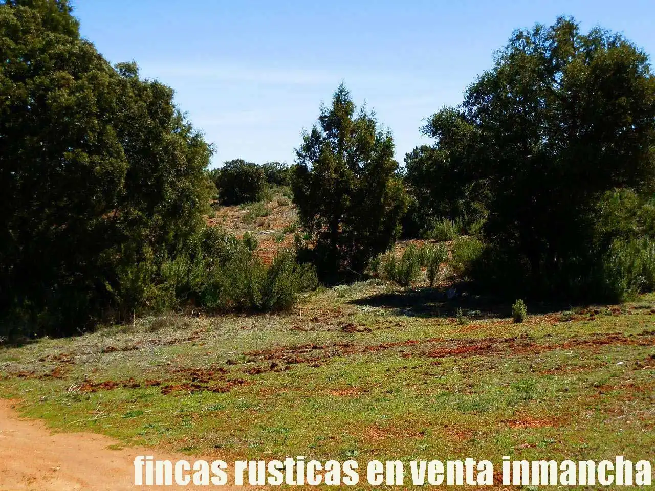Lands and plots for sale in Ossa de Montiel, imagen 7