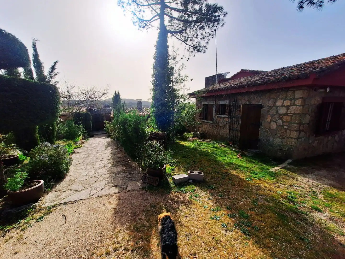 Jardín de Casa o chalet en venta en El Hoyo de Pinares  con Calefacción, Jardín privado y Terraza