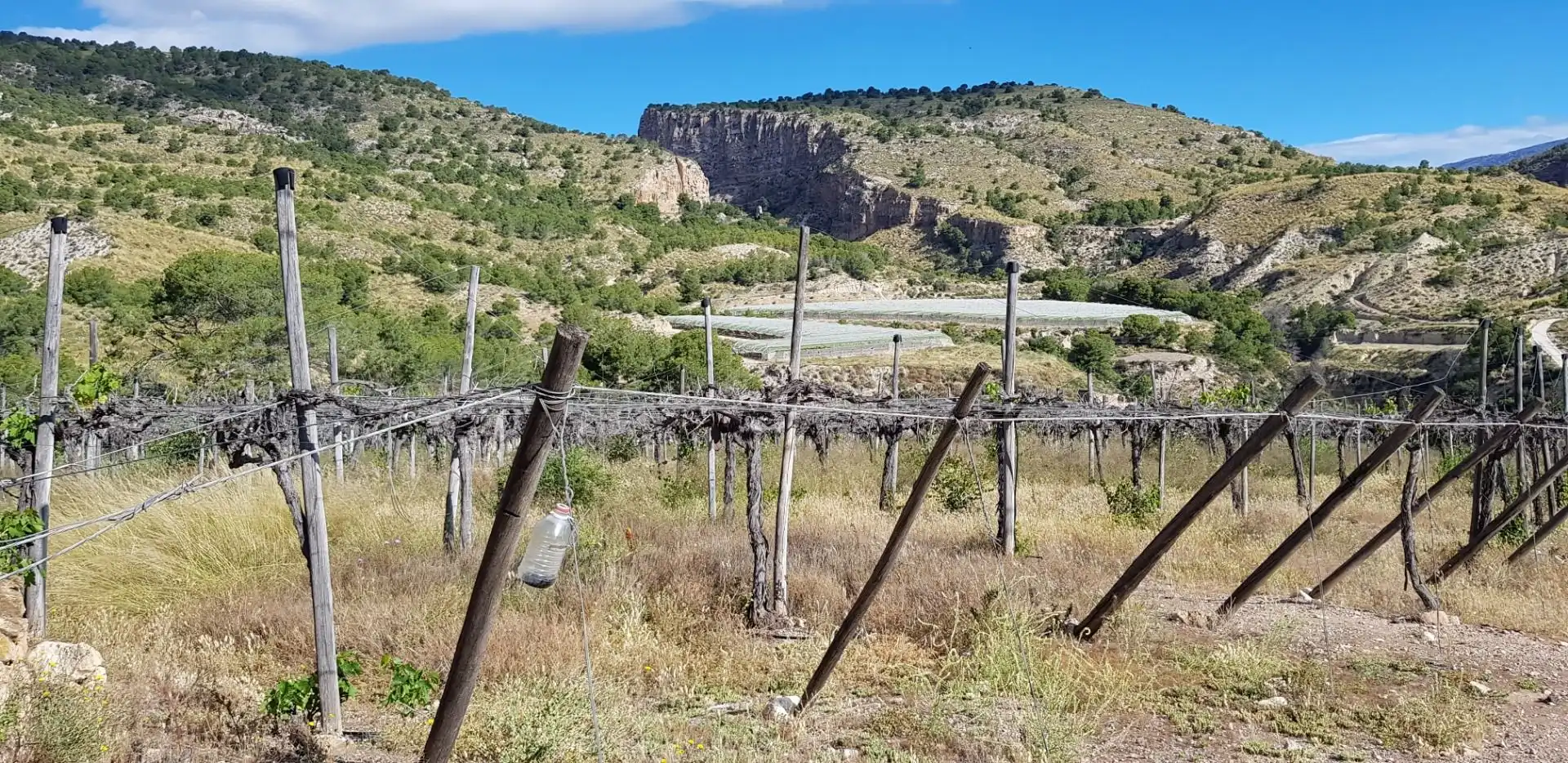 Casa o chalet en venta en Aledo con Terraza y Trastero