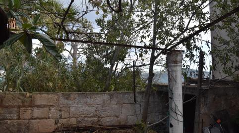 Photo 4 of Planta baja for sale in Campanet, Illes Balears