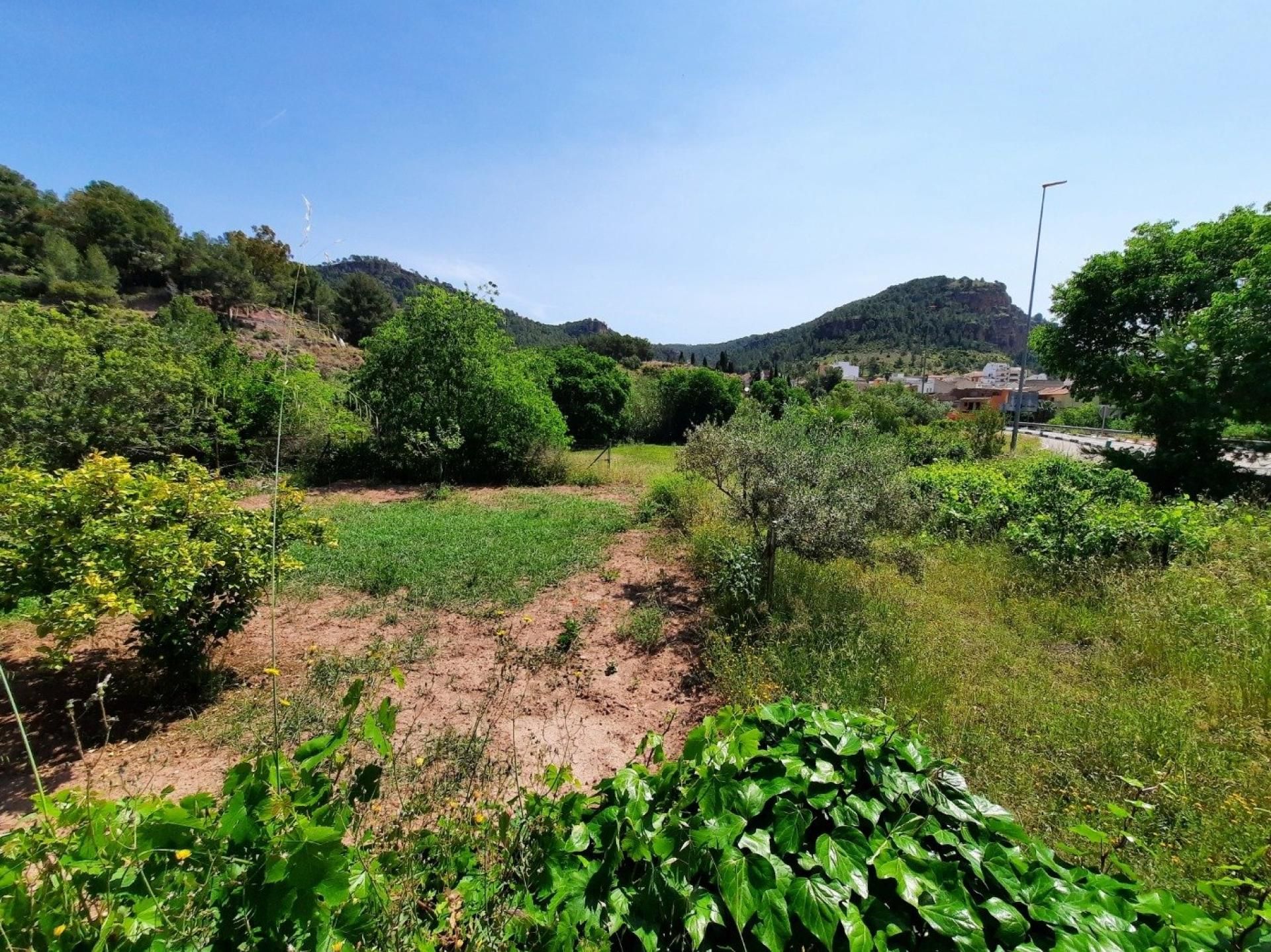 Grundstücke zum verkauf in Olocau