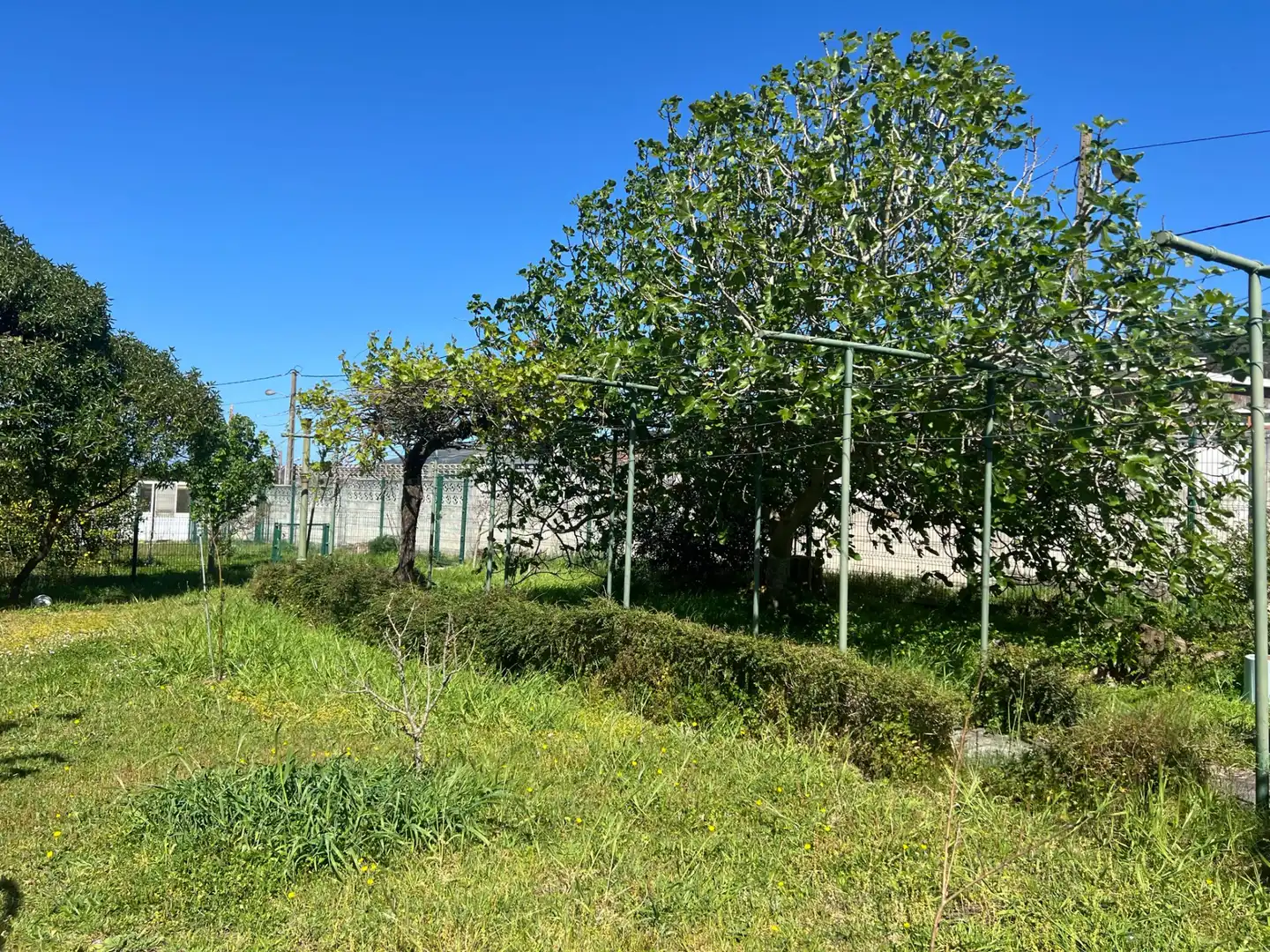 Chalet con terraza en venta en Área Rural, imagen 30