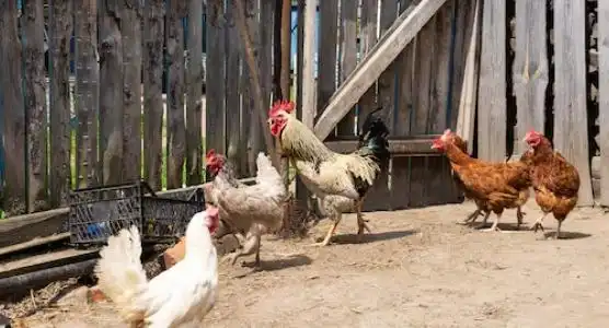 Finca rústica en venta en Alanís