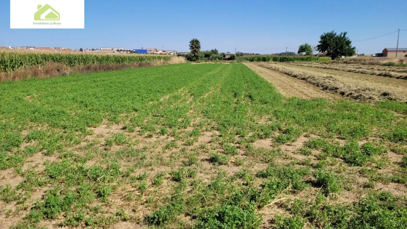 Finca rústica en venda en Zamora Capital 