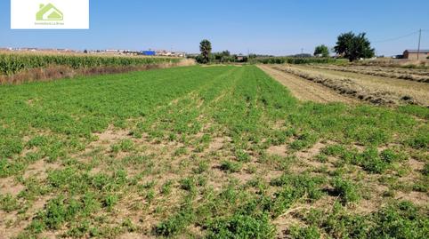 Photo 5 of Country house for sale in Pinilla, Zamora