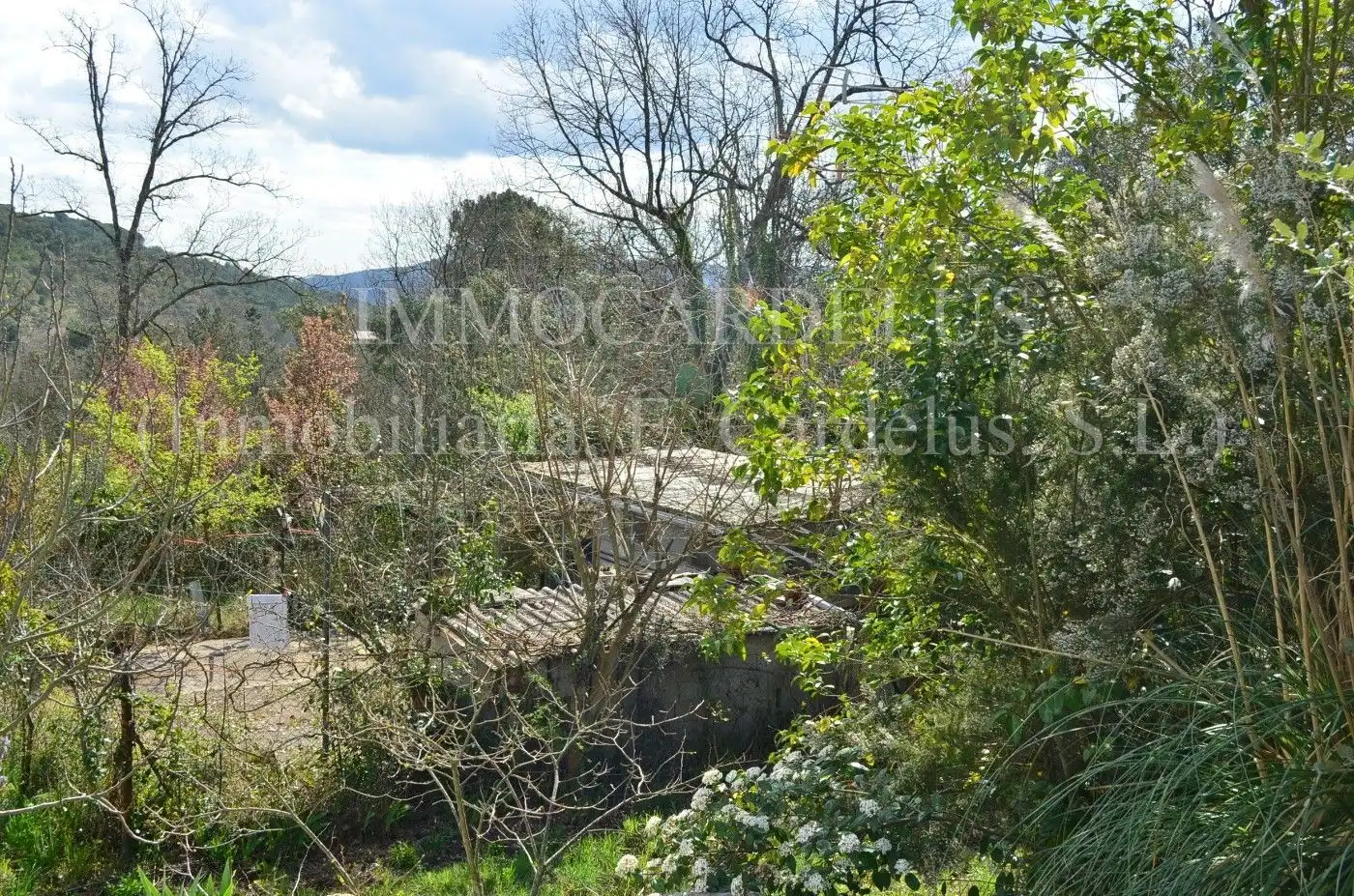Terreny residencial en venda a Riells i Viabrea, imagen 6