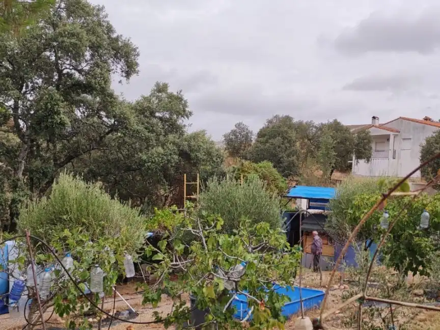 Xalet amb jardí en venda a Saucedoso 218A, imagen 22
