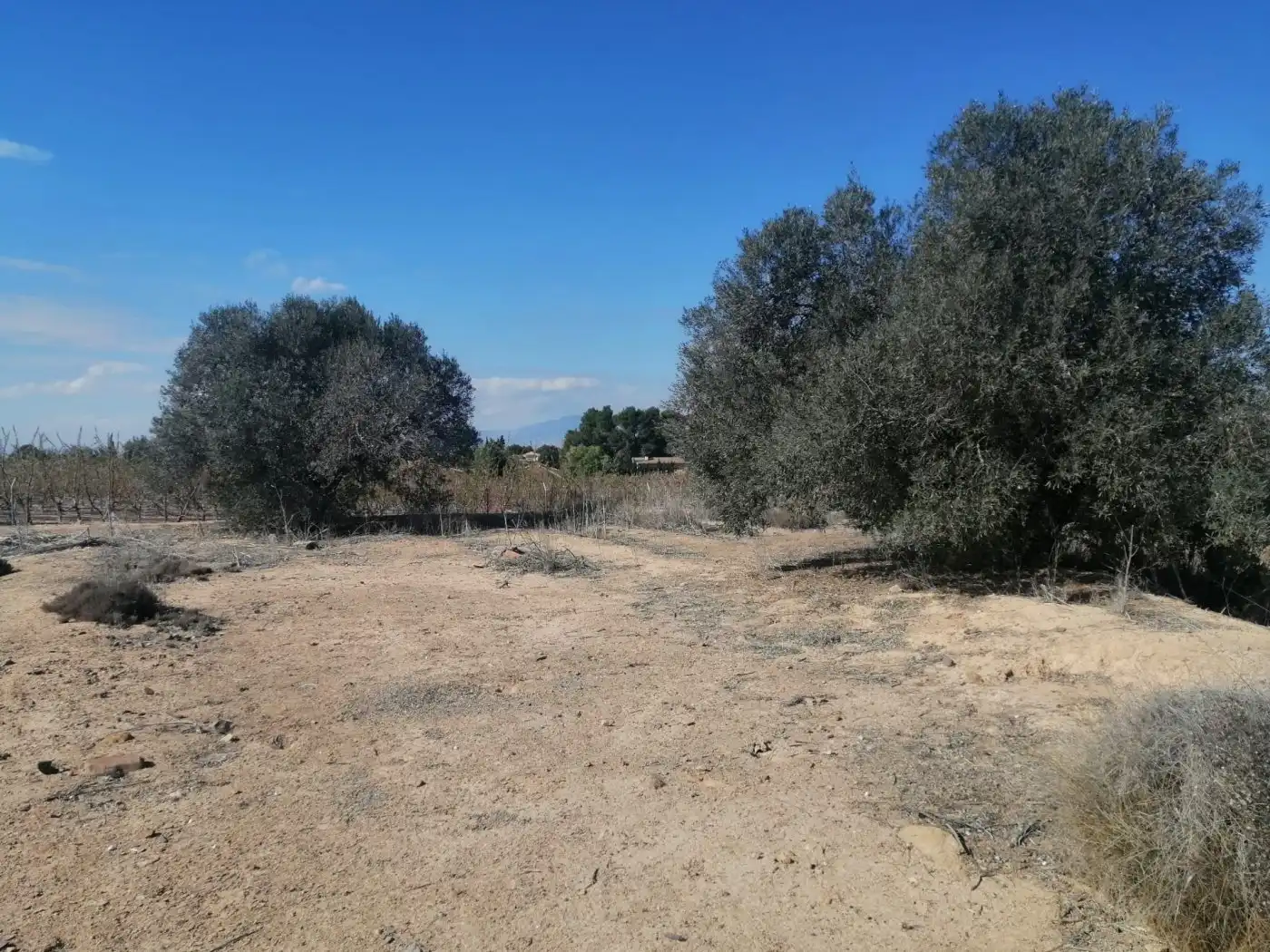 Terreno residenziale in vendita a Casco Urbano, imagen 2