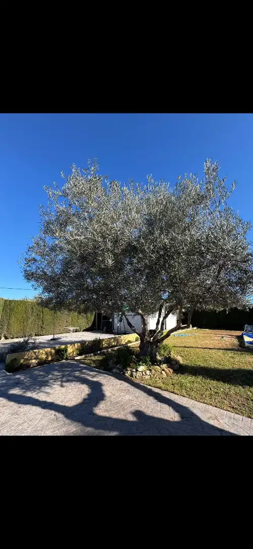 Jardí de Residencial en venda en Antequera